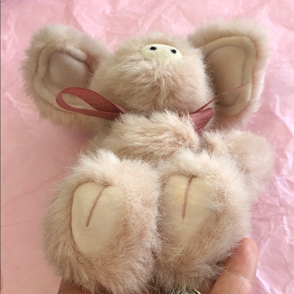 Boyd’s bear 🐻 - Picture 8 of 8